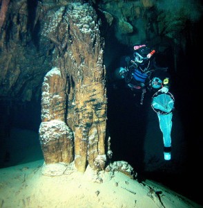 对洞穴状甲壳类动物的冒险探索。汤姆·伊里夫教授在百慕大为哈洛佩先生进行洞穴潜水