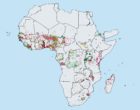 图1:消除被忽视热带病扩大特别项目(ESPEN)报告的2018年非洲血友病的分布情况。绿色=患病率