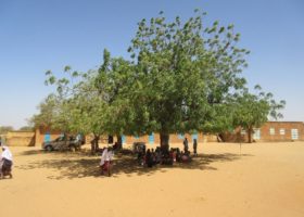 一群孩子从尼日尔的首都尼亚美的小学外面避开了阳光之外。信用：SCI基金会。