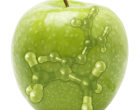 Apple＆cells_2014_all green_small