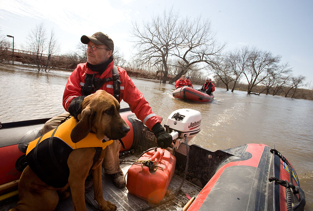 山谷水救援成员，迈克·诺尔和搜救犬“巴纳比”-图像来自联邦应急管理局图片库