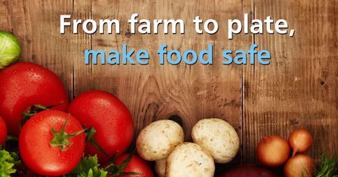 2015年世界健康日：从农场到盘子，使食物安全