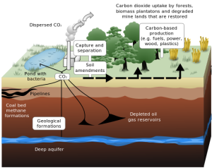 一张图，显示了二氧化碳捕获和隔离的过程，并应用了生物燃料和自然发育的应用。