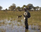 Urs Kalbitzer在Okavango进行实地调查