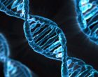 DNA-结构原创