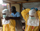 西非的埃博拉病毒