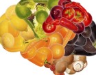 健康的营养对大脑有益